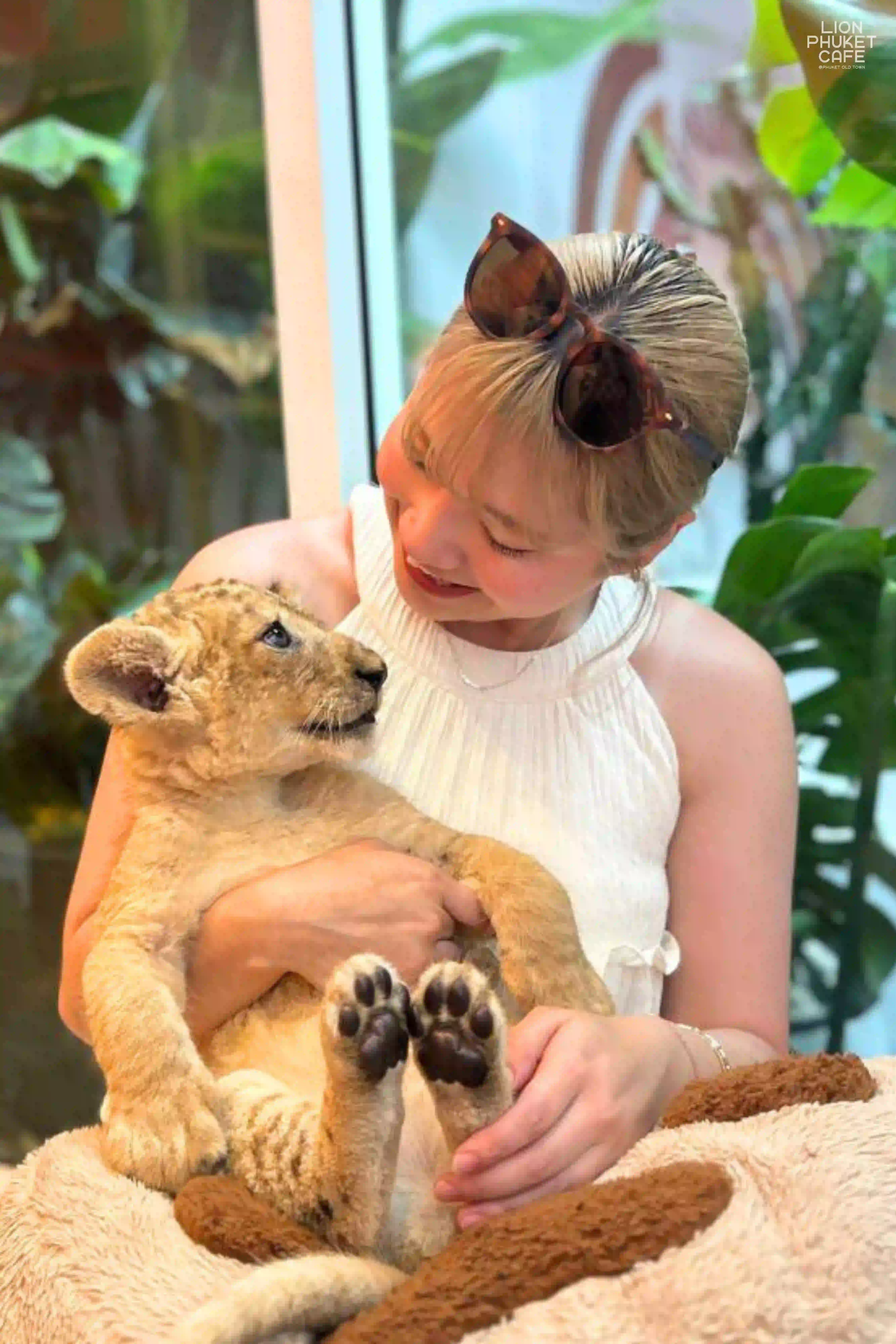 Lion Cub Nursery
