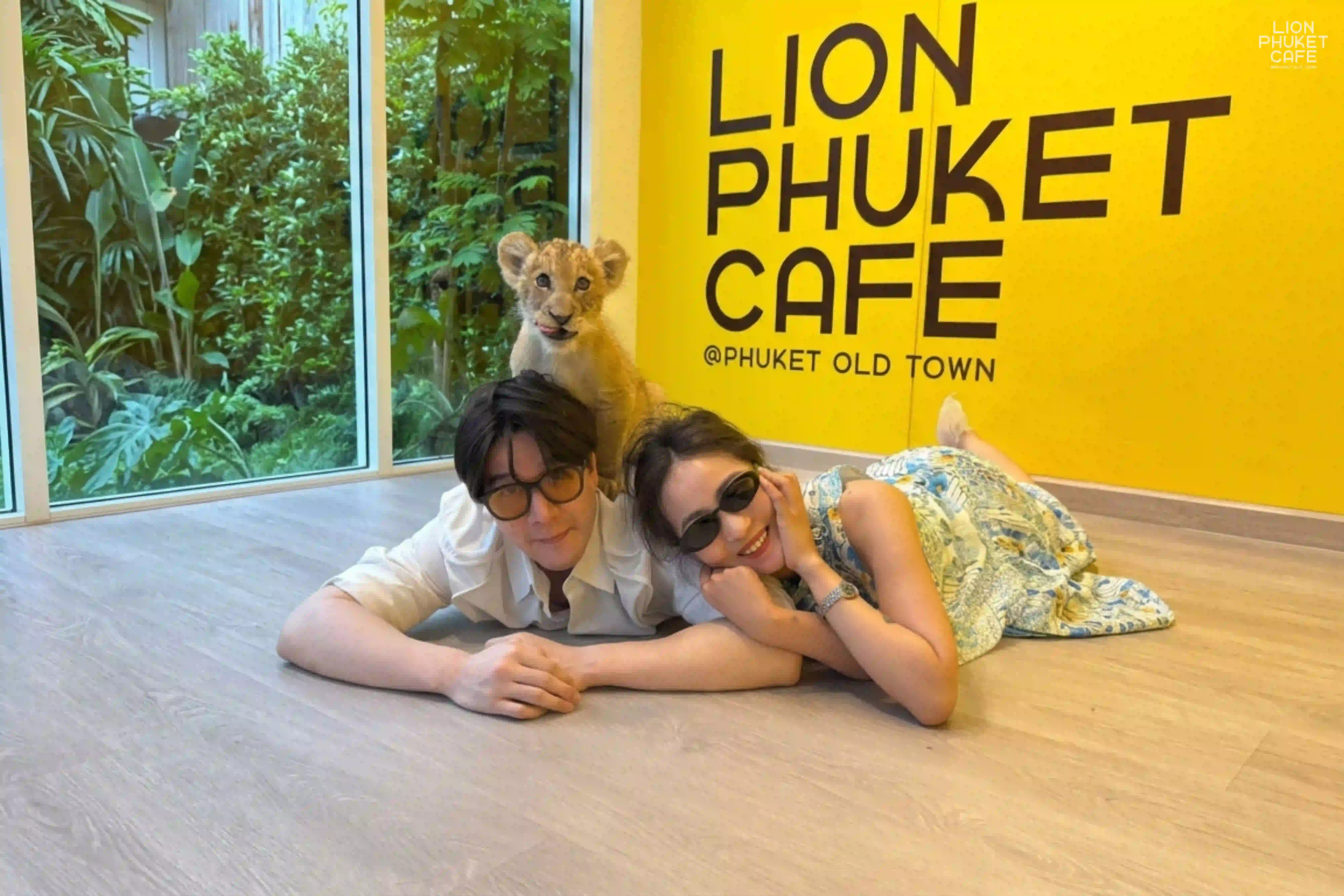 Lion Cub Nursery