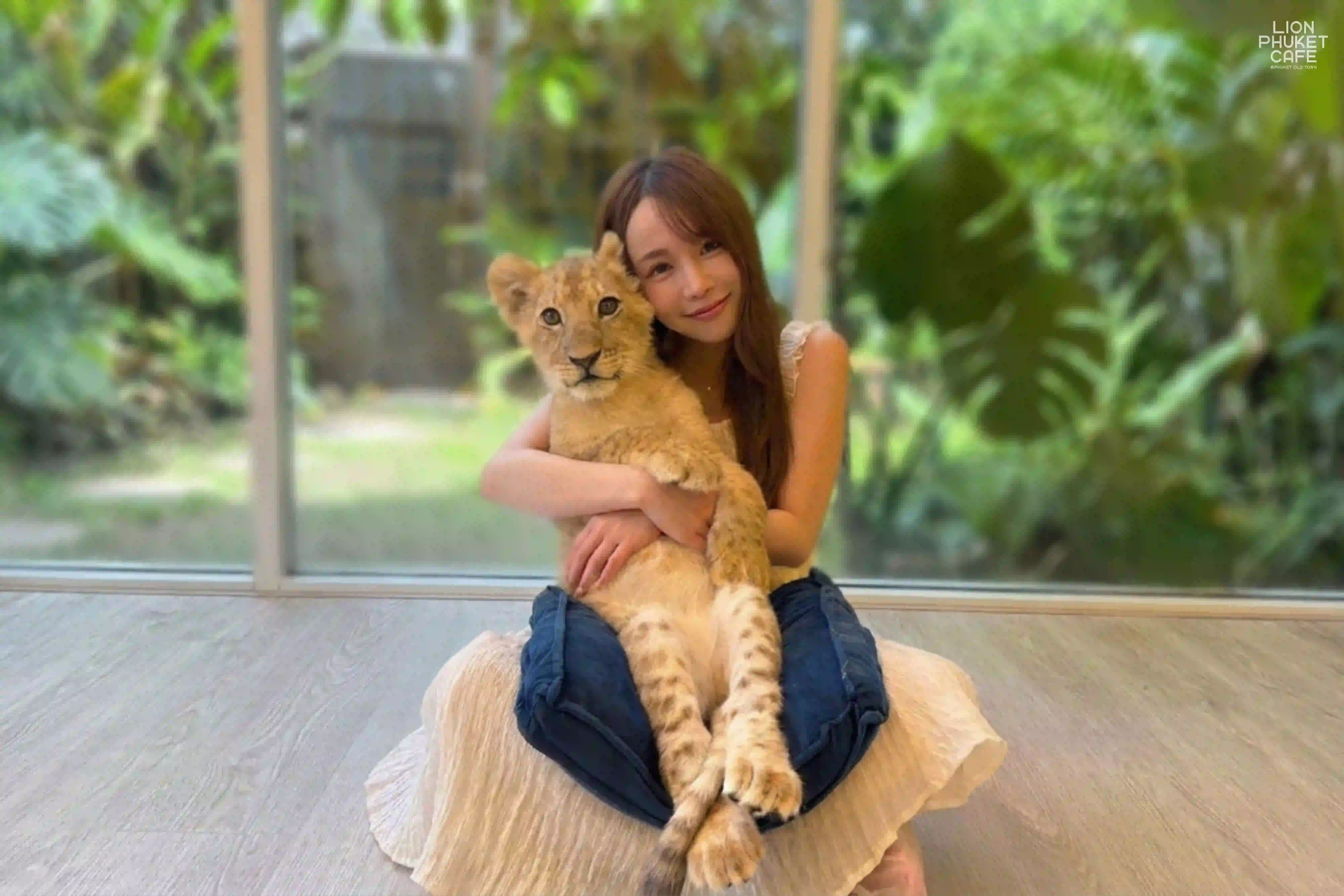 Lion Cub Nursery