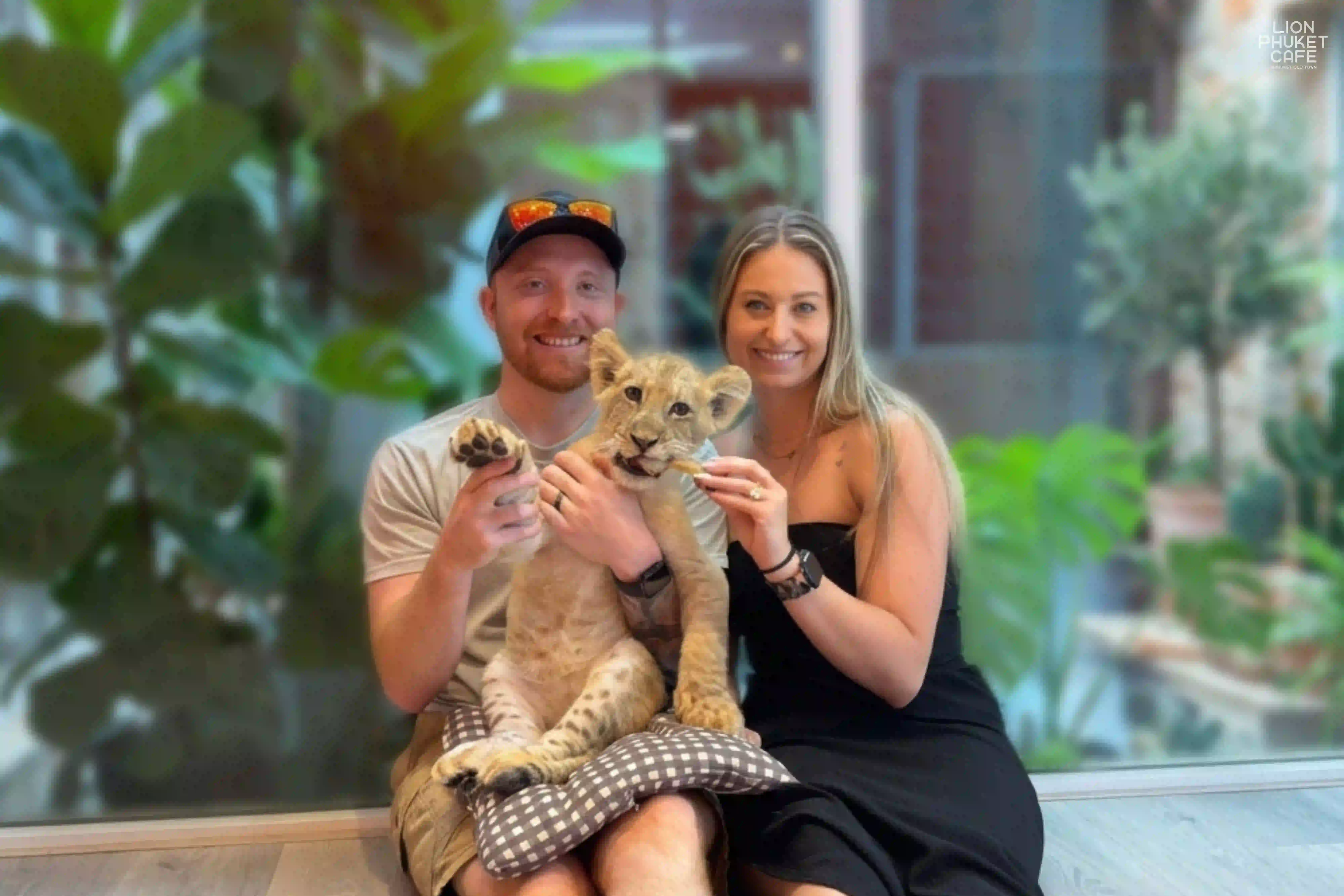 Lion Cub Nursery