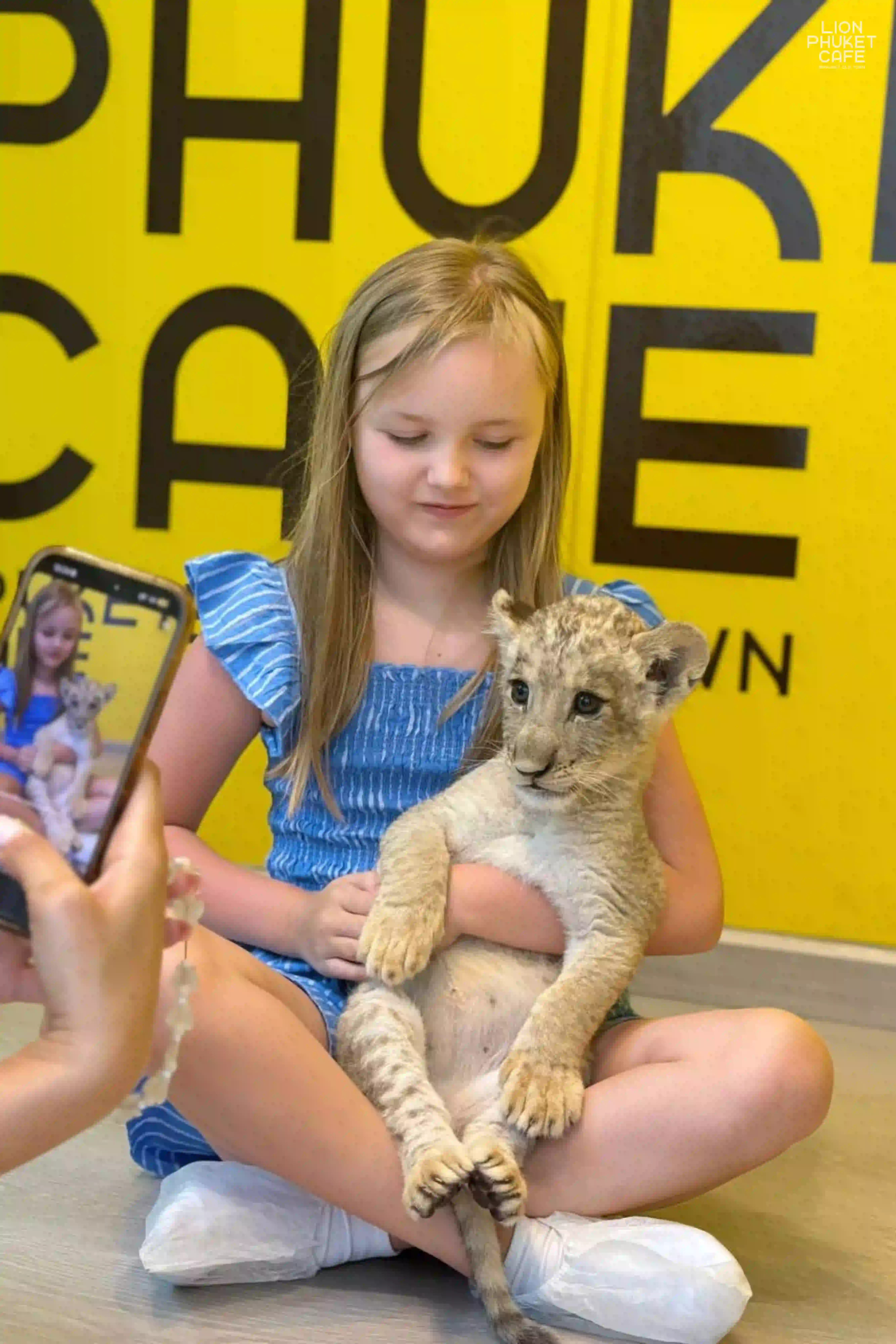 Lion Cub Nursery