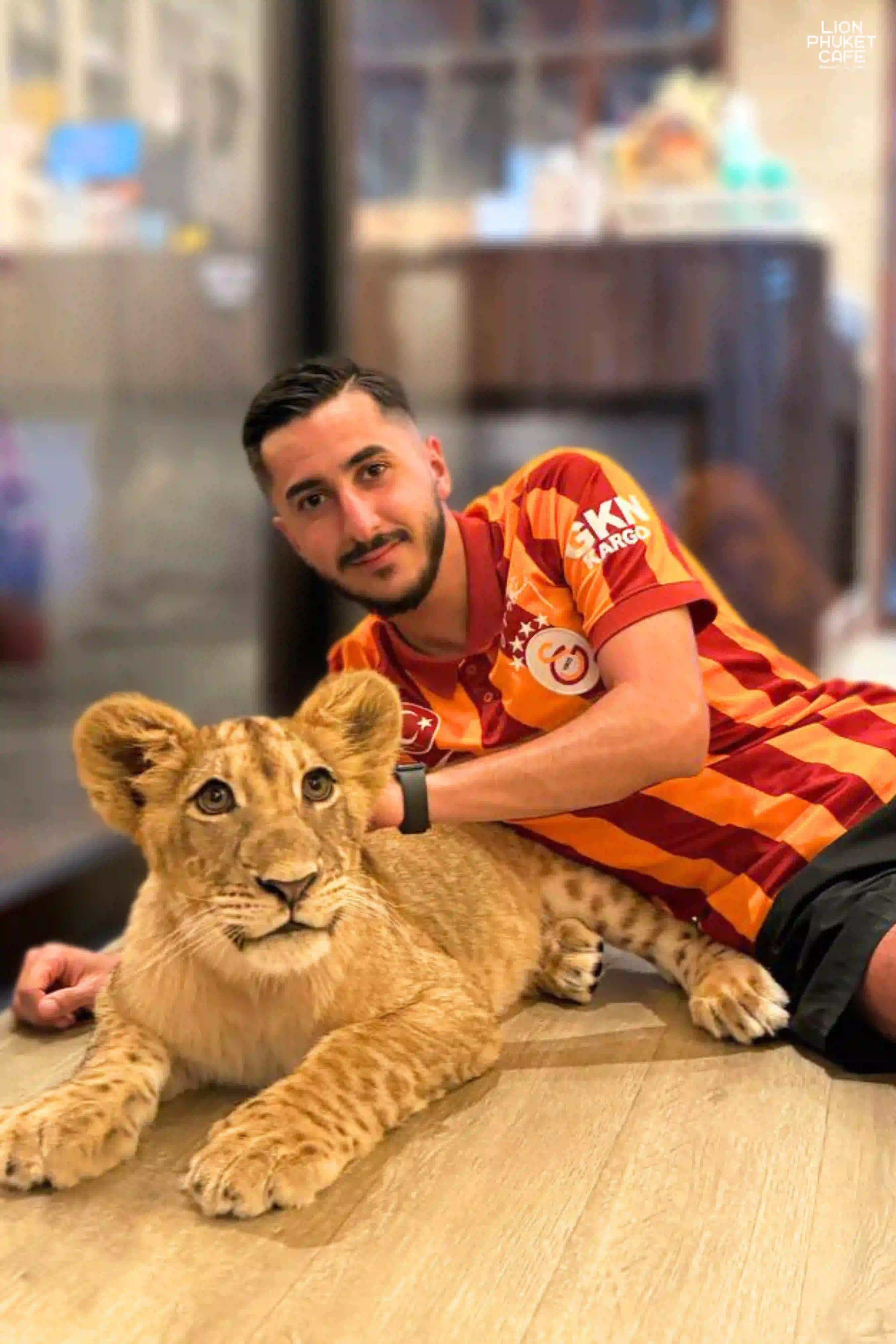 Young Lion