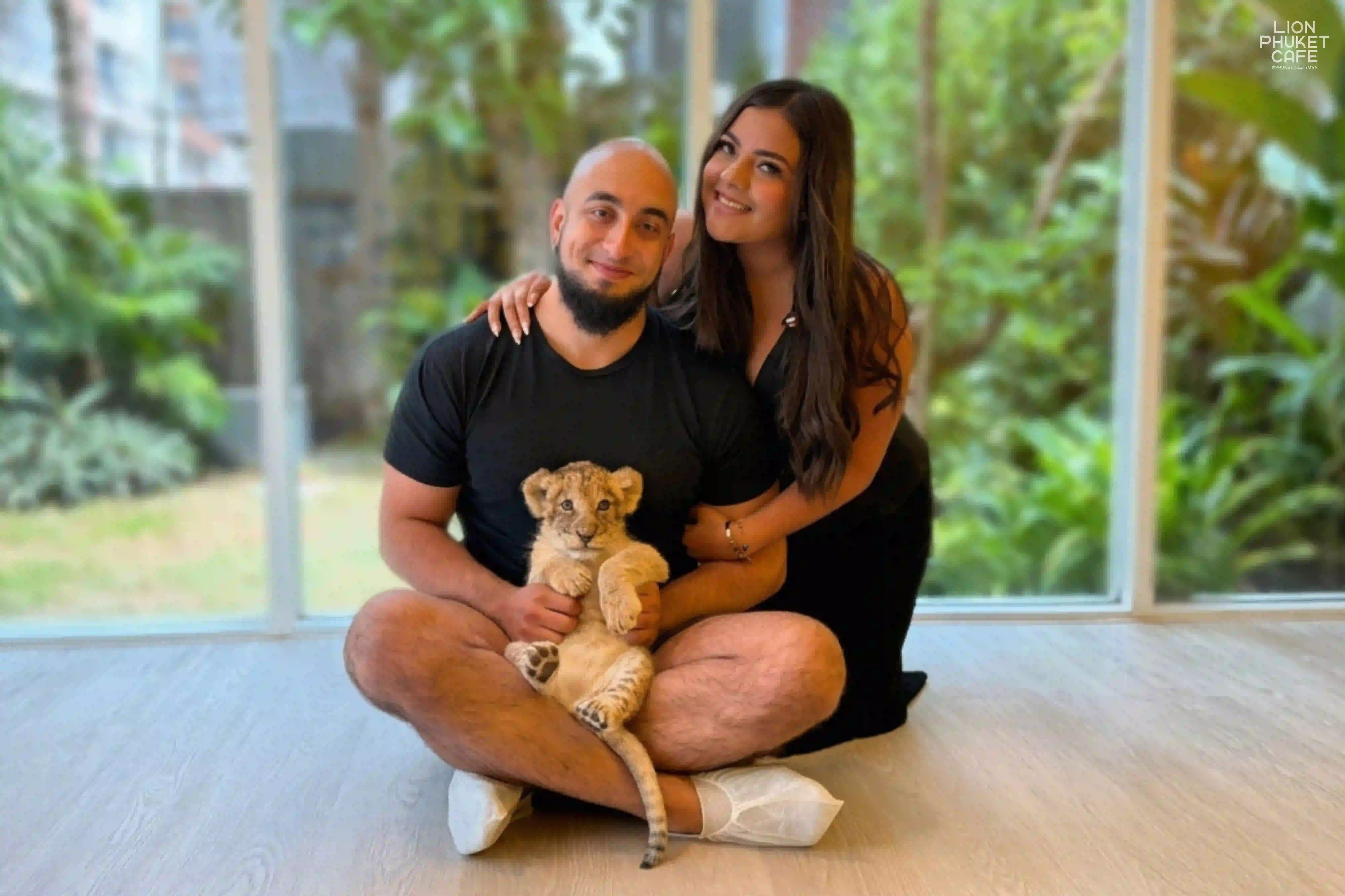 Newborn Lion Nursery