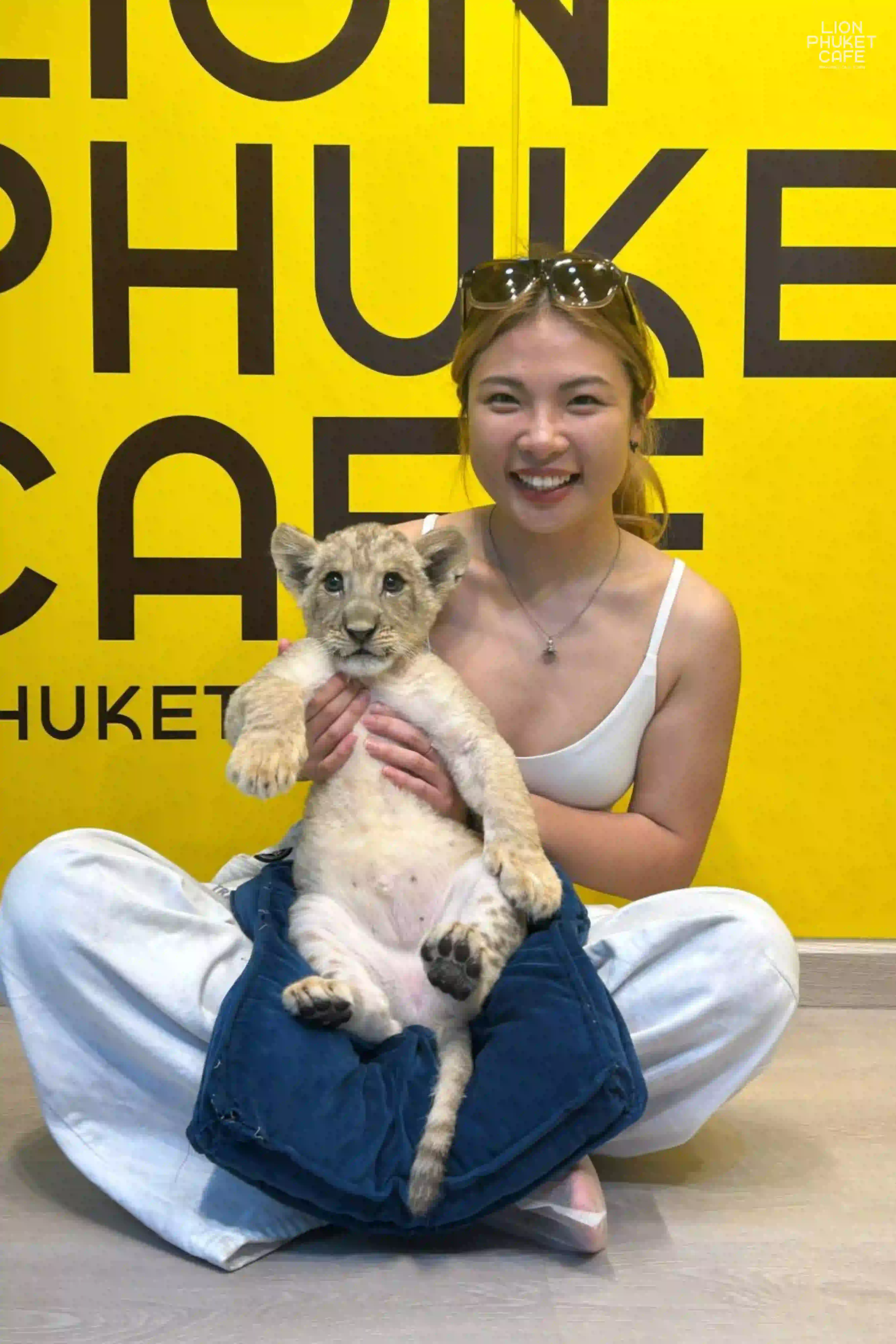 Lion Cub Nursery