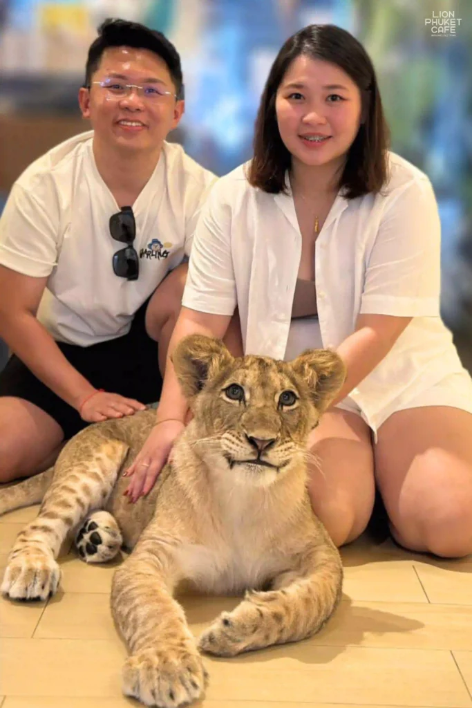 Young Lion