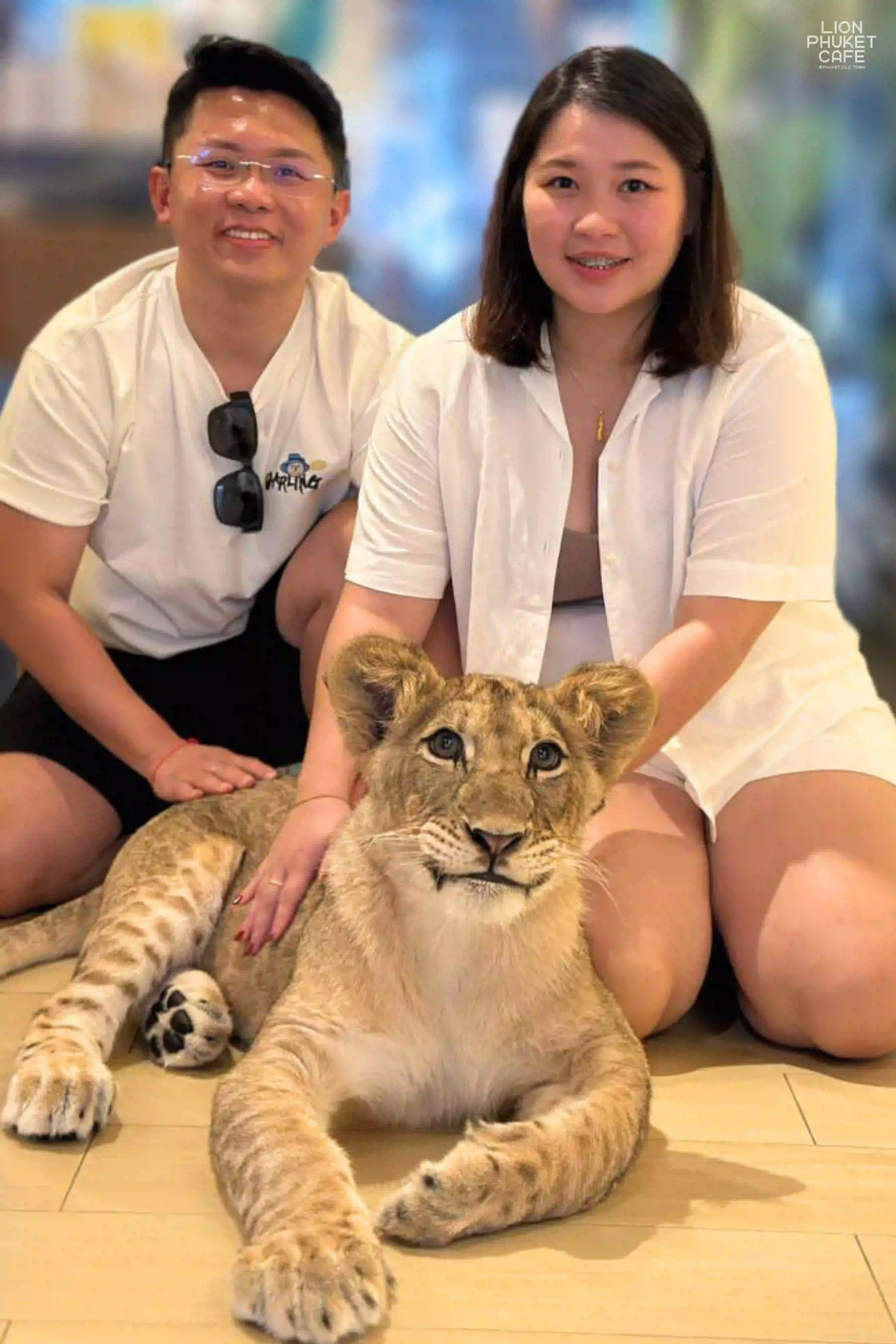 Young Lion