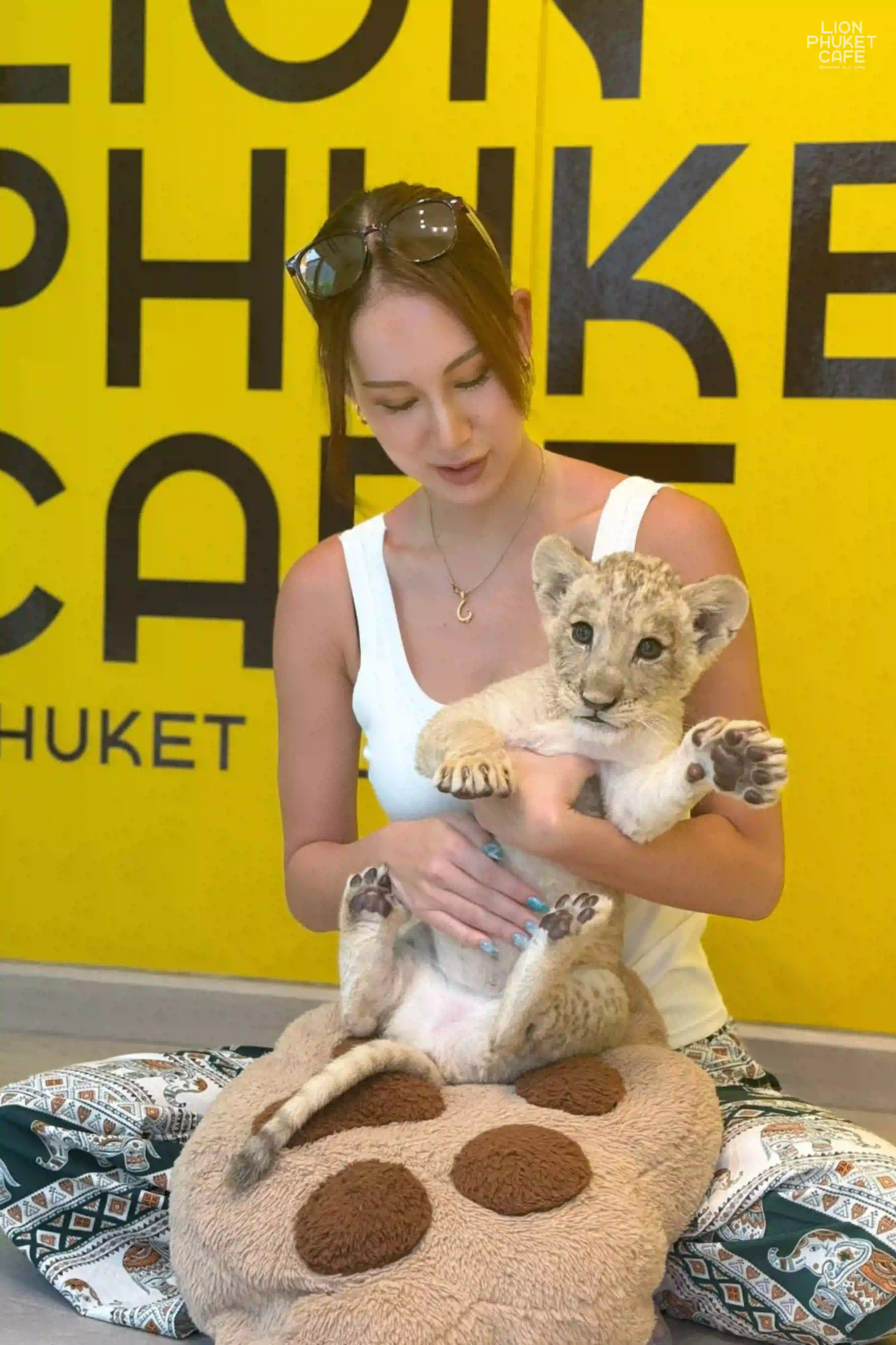 Lion Cub Nursery
